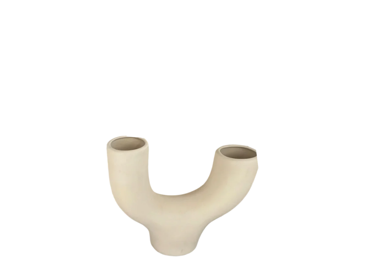 Harrisia-Vase