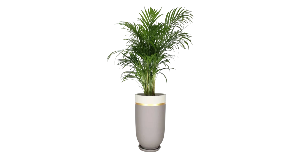 Grauer Blumentopf