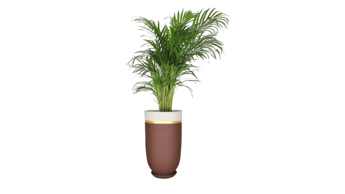 Brown Jar Planter
