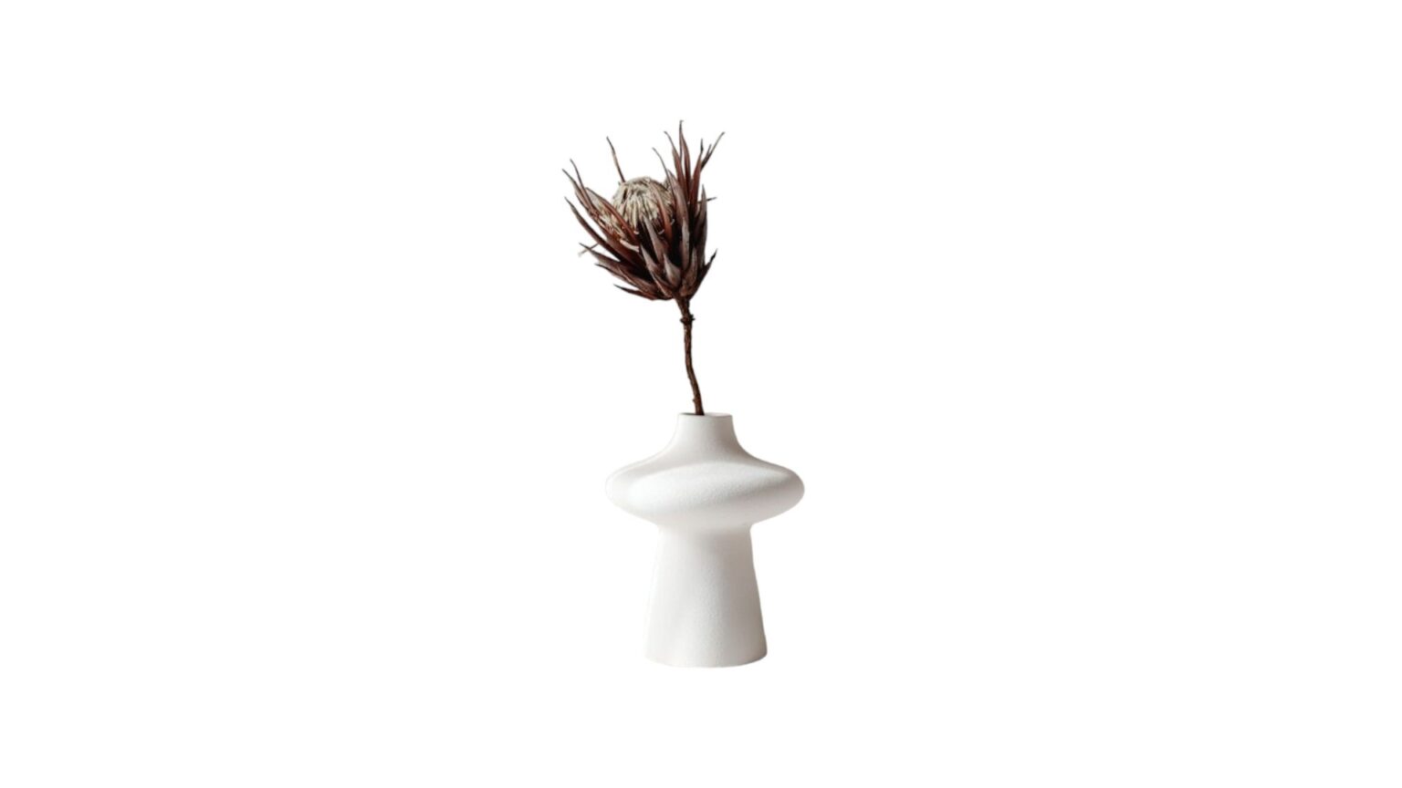 Vase « Mushroom »